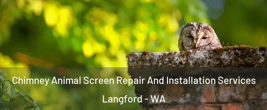 Chimney Animal Screen Repair And Installation Services Langford - WA