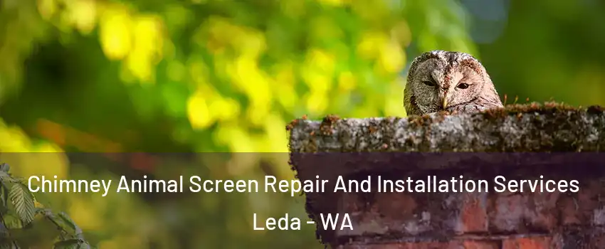 Chimney Animal Screen Repair And Installation Services Leda - WA
