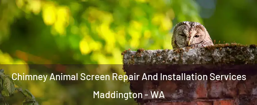 Chimney Animal Screen Repair And Installation Services Maddington - WA
