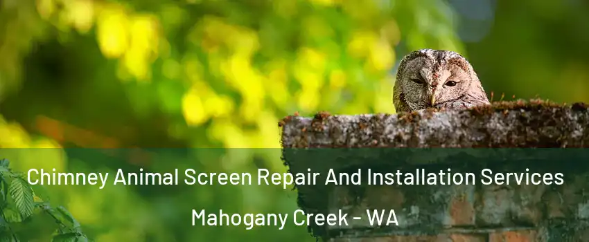 Chimney Animal Screen Repair And Installation Services Mahogany Creek - WA