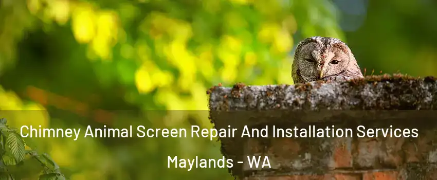 Chimney Animal Screen Repair And Installation Services Maylands - WA