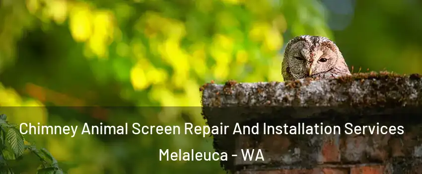 Chimney Animal Screen Repair And Installation Services Melaleuca - WA