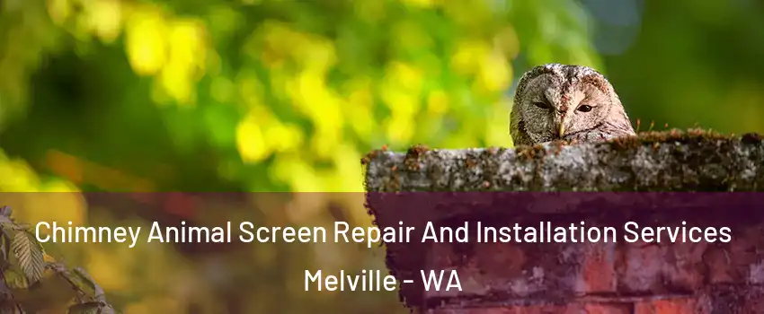 Chimney Animal Screen Repair And Installation Services Melville - WA