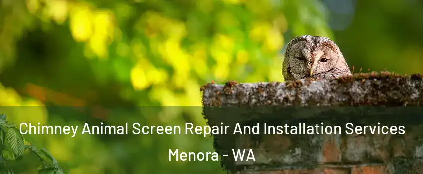 Chimney Animal Screen Repair And Installation Services Menora - WA
