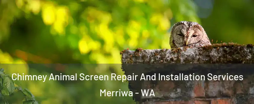 Chimney Animal Screen Repair And Installation Services Merriwa - WA
