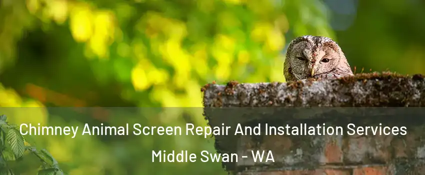 Chimney Animal Screen Repair And Installation Services Middle Swan - WA