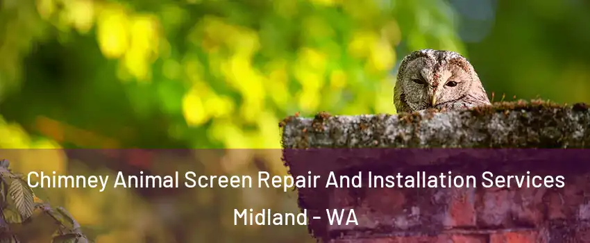 Chimney Animal Screen Repair And Installation Services Midland - WA