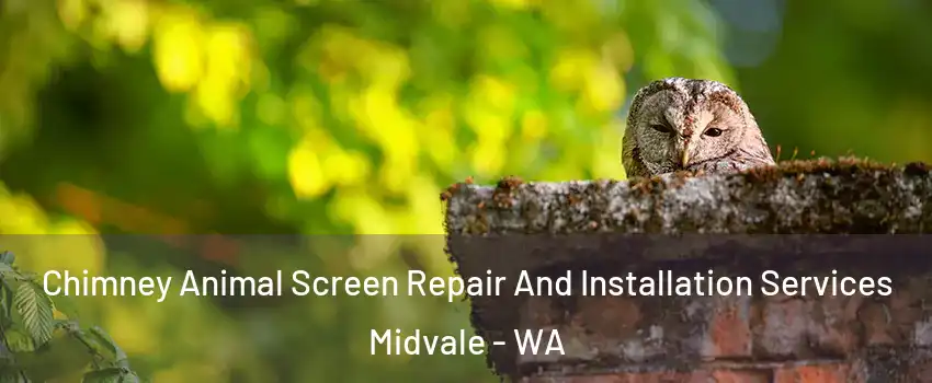 Chimney Animal Screen Repair And Installation Services Midvale - WA