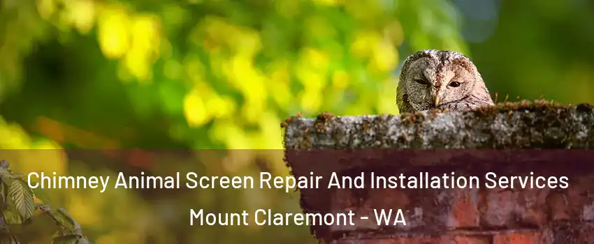 Chimney Animal Screen Repair And Installation Services Mount Claremont - WA