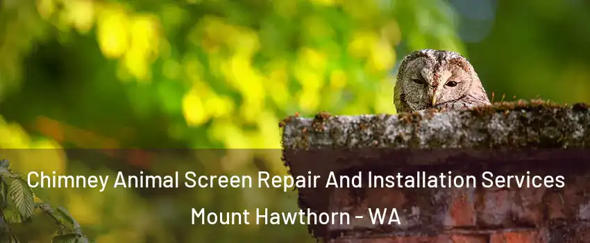 Chimney Animal Screen Repair And Installation Services Mount Hawthorn - WA
