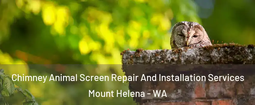 Chimney Animal Screen Repair And Installation Services Mount Helena - WA