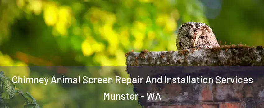 Chimney Animal Screen Repair And Installation Services Munster - WA