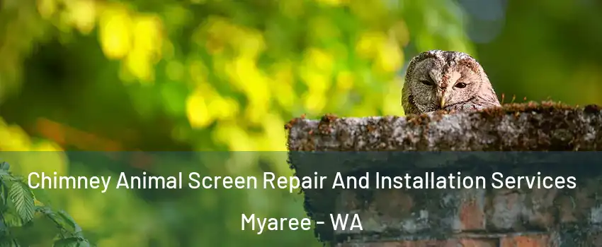 Chimney Animal Screen Repair And Installation Services Myaree - WA