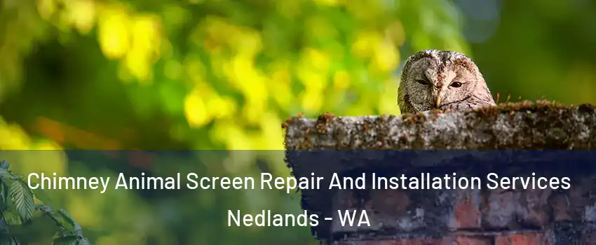 Chimney Animal Screen Repair And Installation Services Nedlands - WA