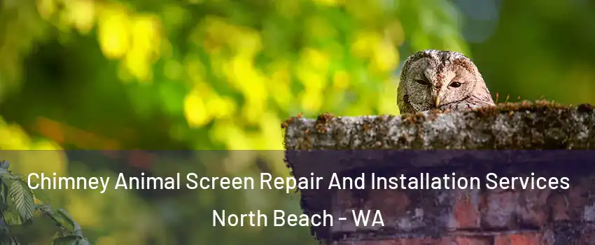 Chimney Animal Screen Repair And Installation Services North Beach - WA