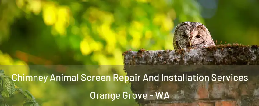 Chimney Animal Screen Repair And Installation Services Orange Grove - WA