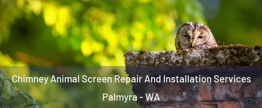 Chimney Animal Screen Repair And Installation Services Palmyra - WA