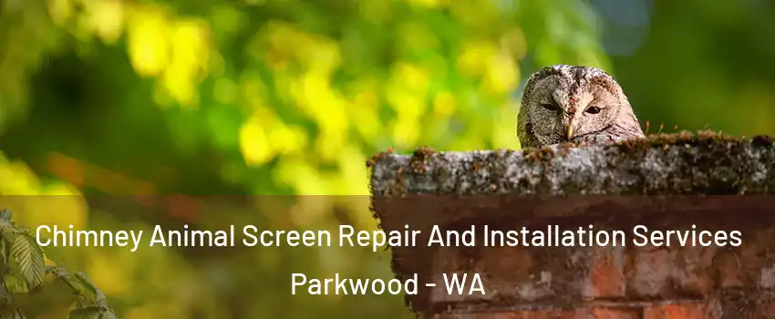 Chimney Animal Screen Repair And Installation Services Parkwood - WA