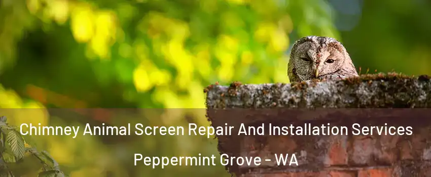 Chimney Animal Screen Repair And Installation Services Peppermint Grove - WA
