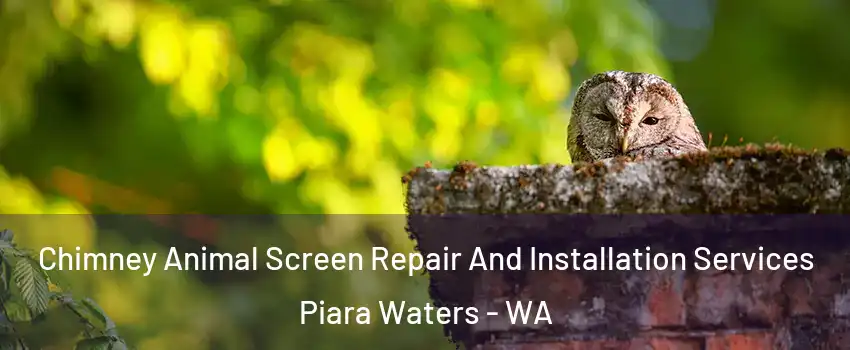 Chimney Animal Screen Repair And Installation Services Piara Waters - WA