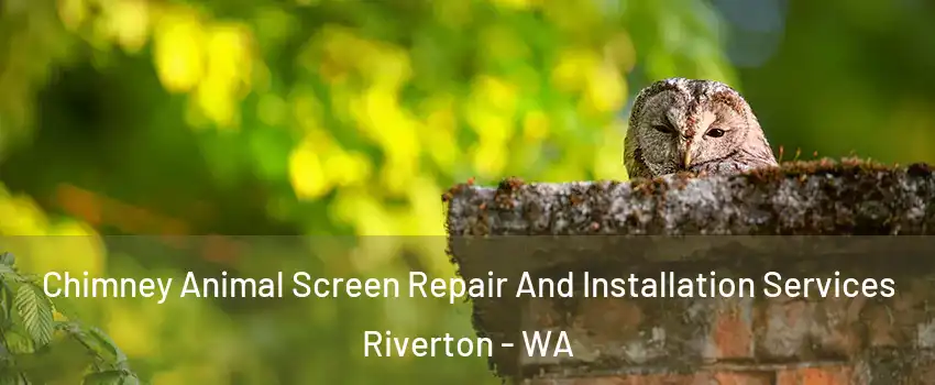 Chimney Animal Screen Repair And Installation Services Riverton - WA