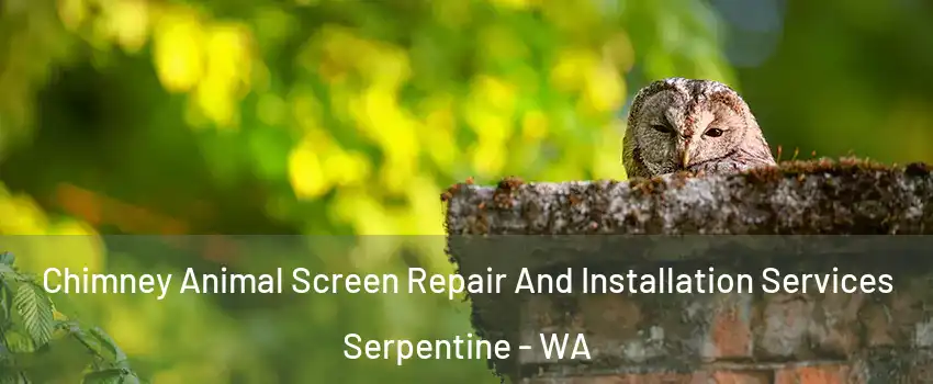 Chimney Animal Screen Repair And Installation Services Serpentine - WA