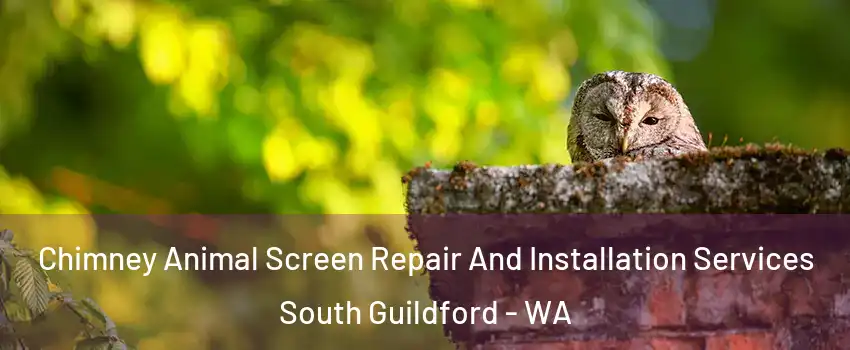 Chimney Animal Screen Repair And Installation Services South Guildford - WA