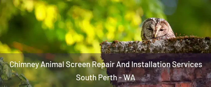 Chimney Animal Screen Repair And Installation Services South Perth - WA