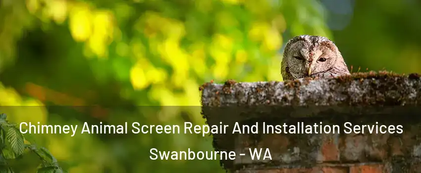 Chimney Animal Screen Repair And Installation Services Swanbourne - WA