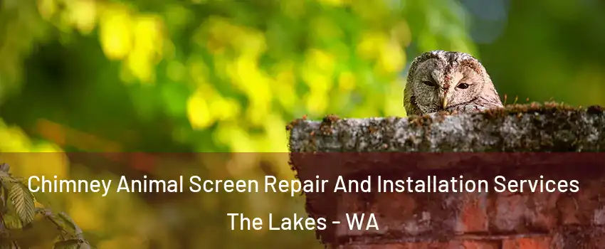 Chimney Animal Screen Repair And Installation Services The Lakes - WA