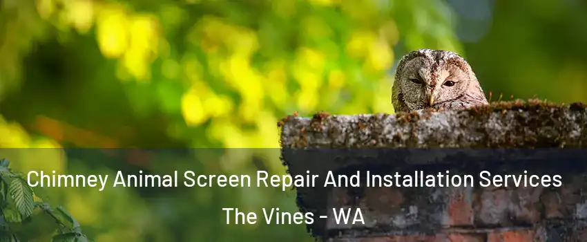 Chimney Animal Screen Repair And Installation Services The Vines - WA