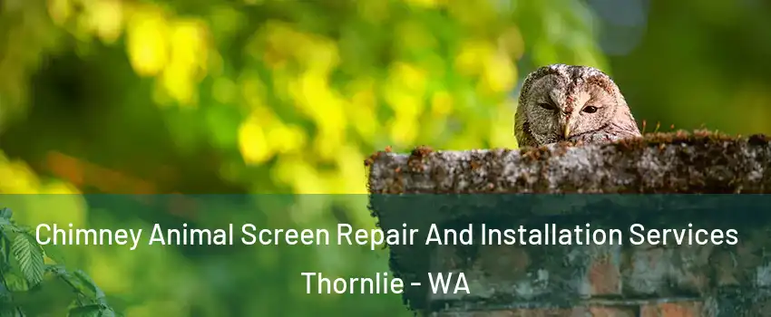 Chimney Animal Screen Repair And Installation Services Thornlie - WA