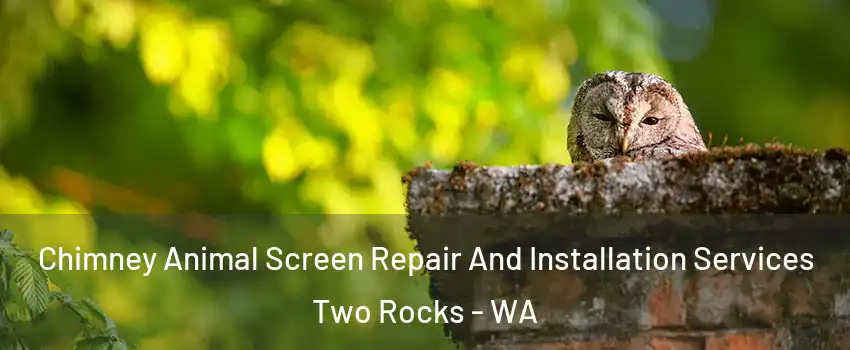  Chimney Animal Screen Repair And Installation Services Two Rocks - WA
