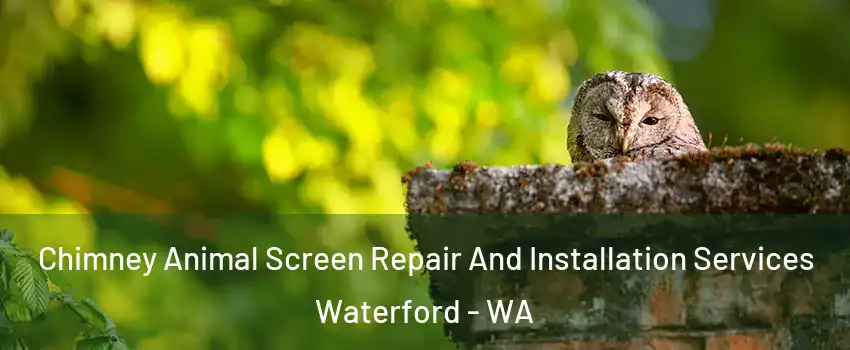 Chimney Animal Screen Repair And Installation Services Waterford - WA