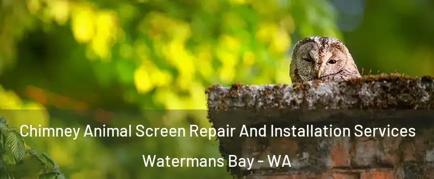 Chimney Animal Screen Repair And Installation Services Watermans Bay - WA