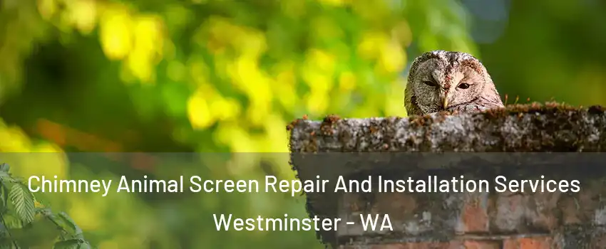 Chimney Animal Screen Repair And Installation Services Westminster - WA