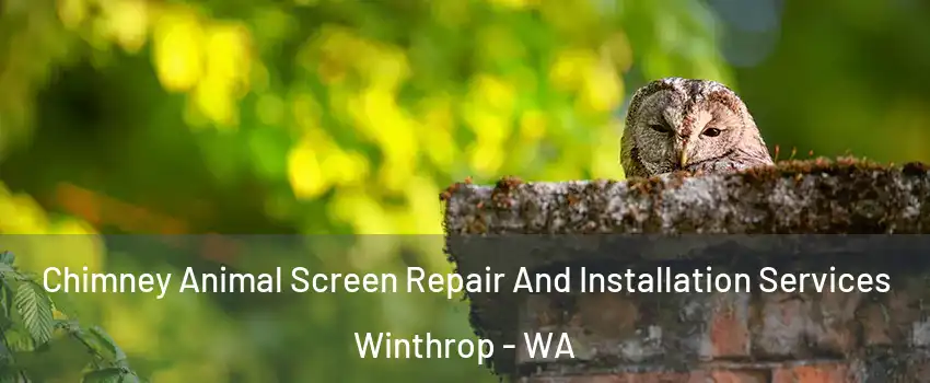 Chimney Animal Screen Repair And Installation Services Winthrop - WA