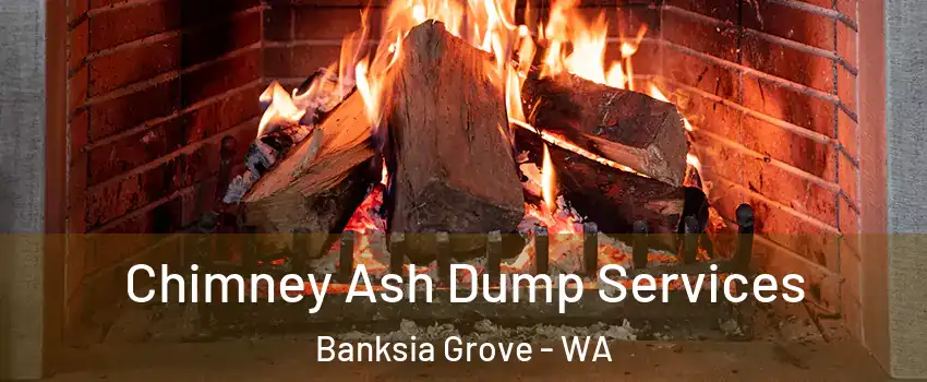 Chimney Ash Dump Services Banksia Grove - WA
