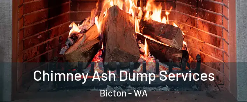Chimney Ash Dump Services Bicton - WA