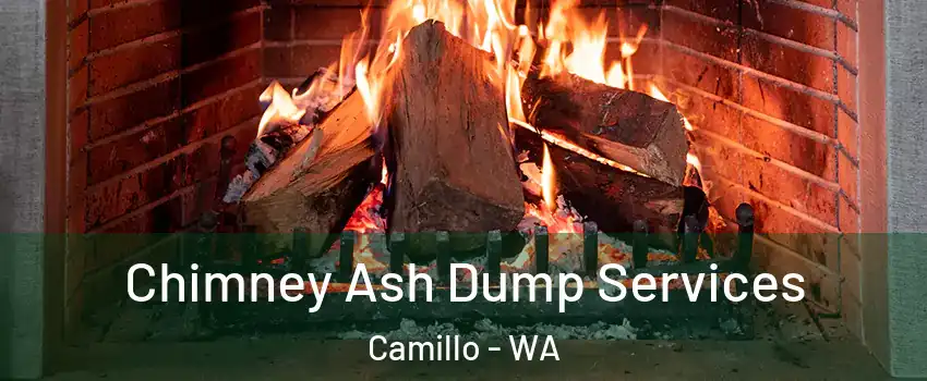 Chimney Ash Dump Services Camillo - WA