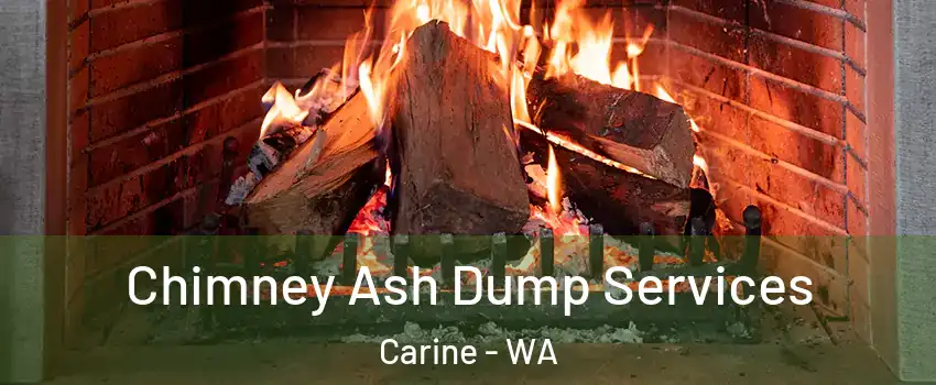 Chimney Ash Dump Services Carine - WA