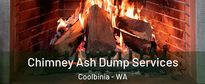 Chimney Ash Dump Services Coolbinia - WA