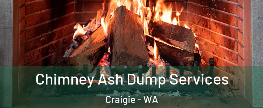 Chimney Ash Dump Services Craigie - WA