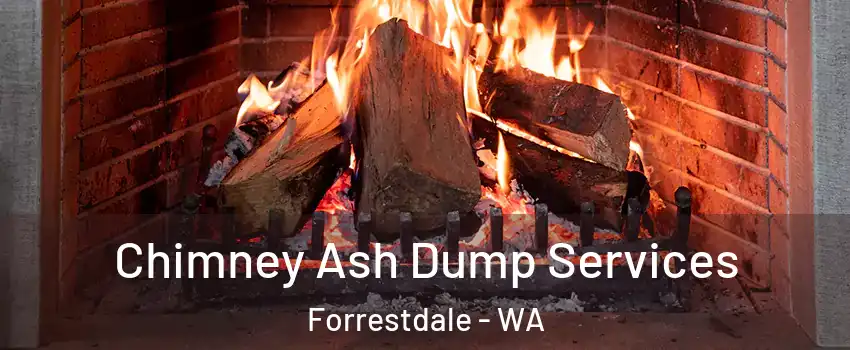 Chimney Ash Dump Services Forrestdale - WA
