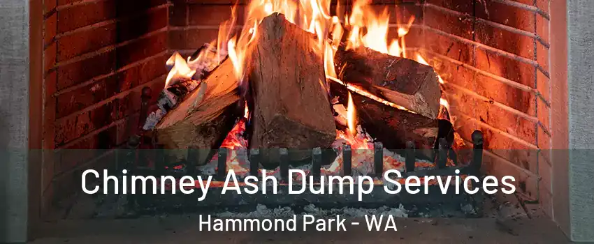 Chimney Ash Dump Services Hammond Park - WA
