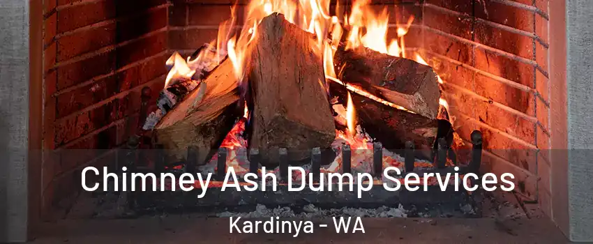 Chimney Ash Dump Services Kardinya - WA