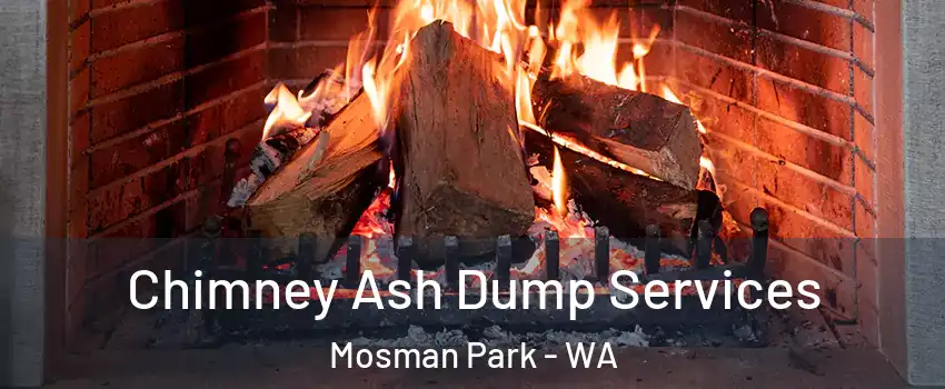 Chimney Ash Dump Services Mosman Park - WA