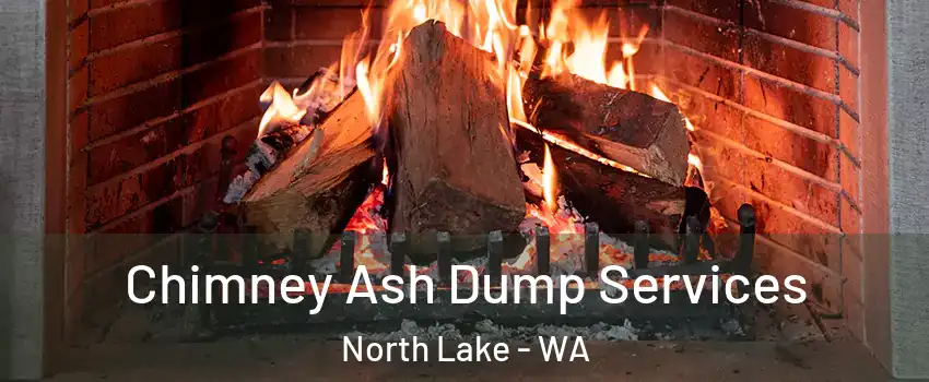 Chimney Ash Dump Services North Lake - WA