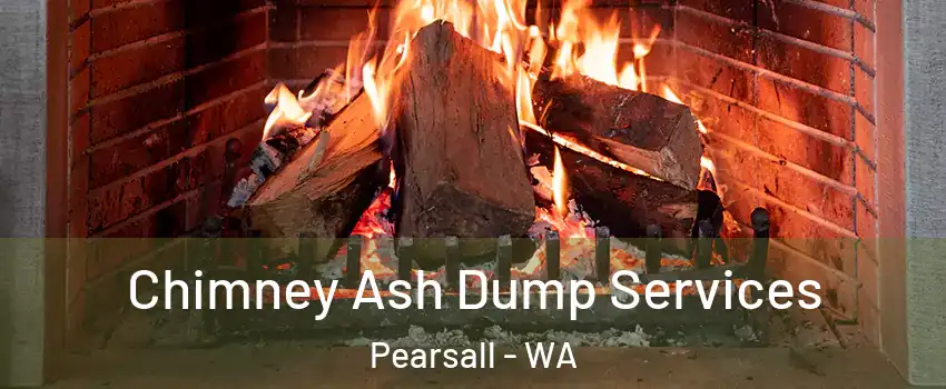 Chimney Ash Dump Services Pearsall - WA