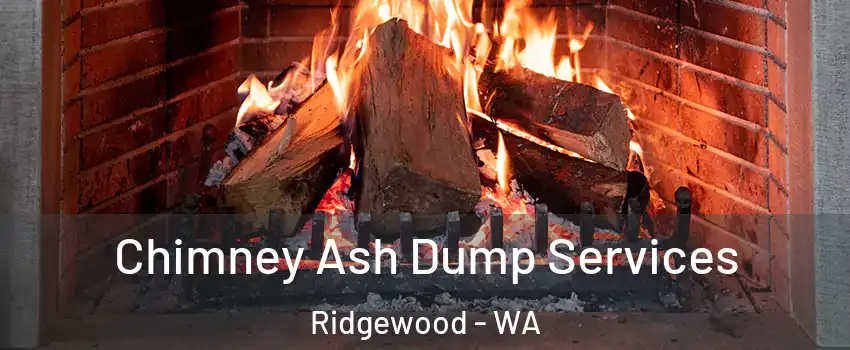 Chimney Ash Dump Services Ridgewood - WA